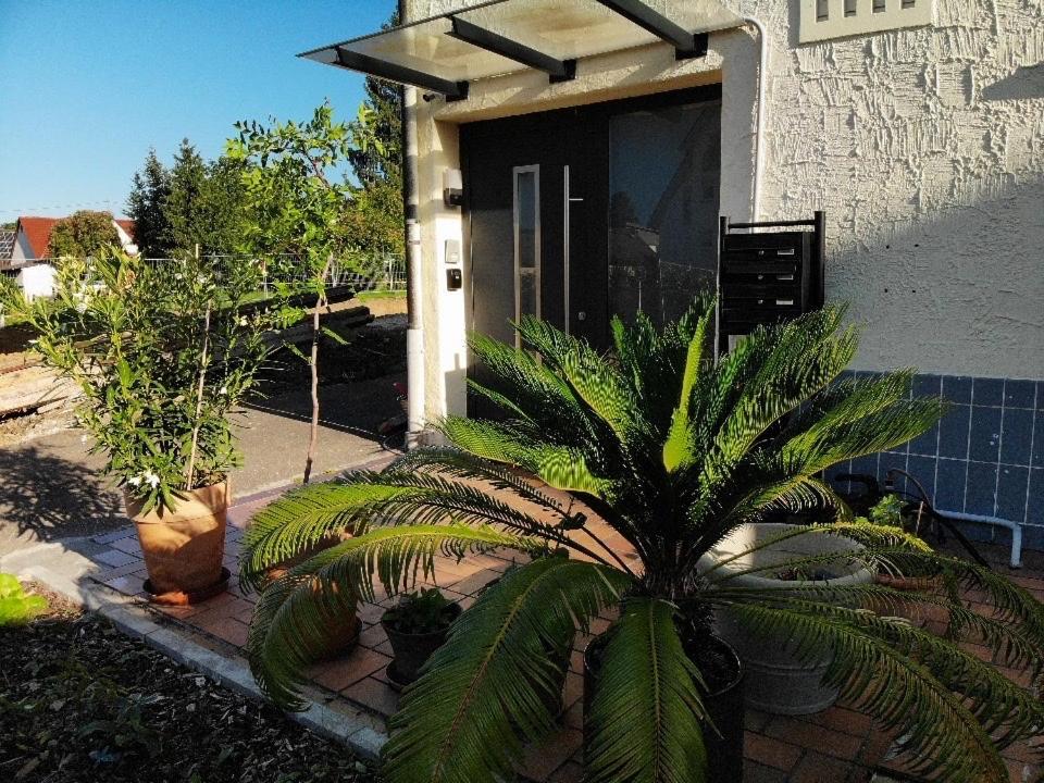 Gemuetliche 3 Zimmer Wohnung Mit Grosszuegiger Terrasse Im Gruenen Reutlingen Dış mekan fotoğraf